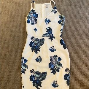 White and Blue Floral Dress